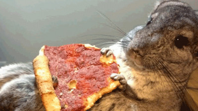 SCHOLA NIE TYLKO ŚPIEWA…